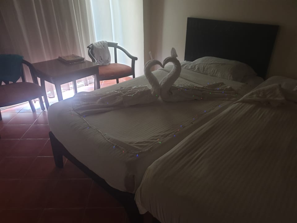 Zimmer Three Corners Sea Beach Resort