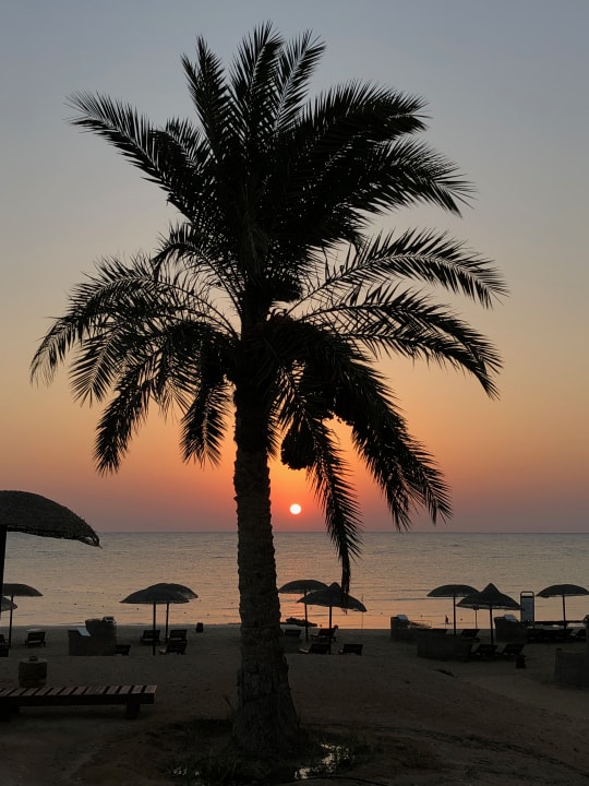 Strand Hotel Gorgonia Beach Resort