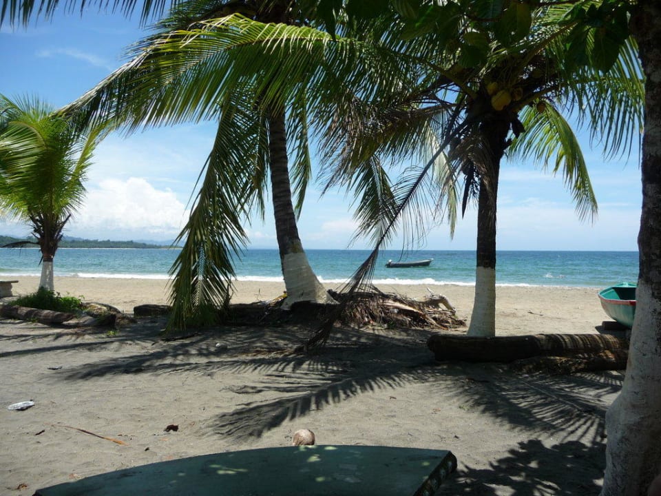 Strand mit Palmen Hotel Suerre Caribbean Beach