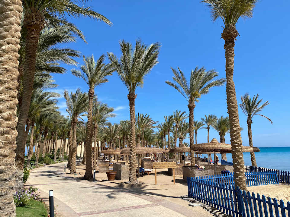 Strand Palm Royale Resort - Soma Bay