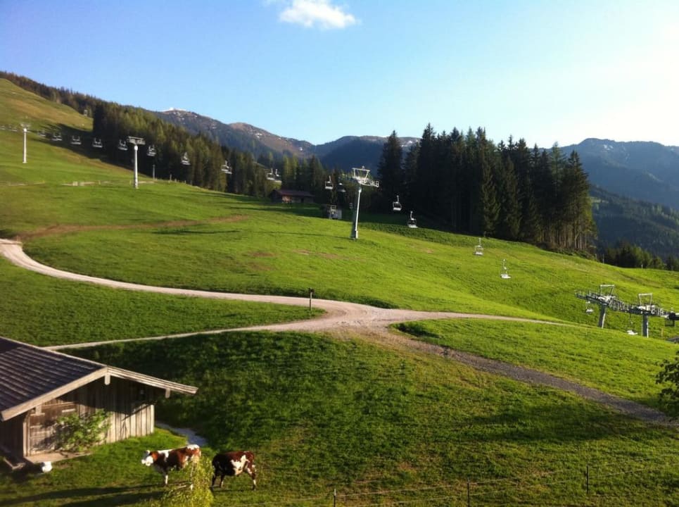 Ausblick vom Zimmerbalkon im Holzhotel Holzhotel Forsthofalm