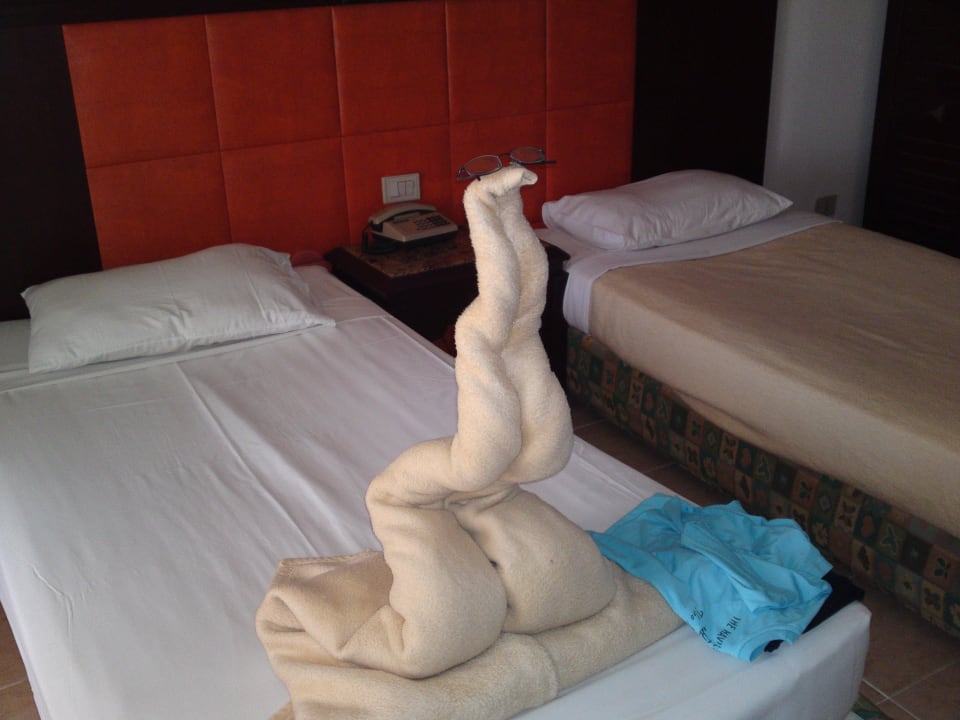 Odpočívajúca kobra Pickalbatros Aqua Park Resort - Hurghada