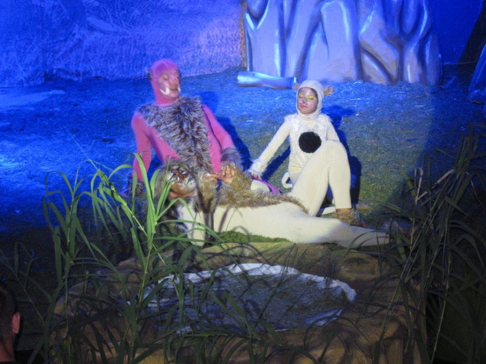 Musical Der König der Löwen Trendy Aspendos Beach Hotel