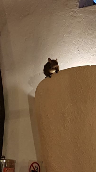 Lobby Hotel Southern Palms Beach Resort