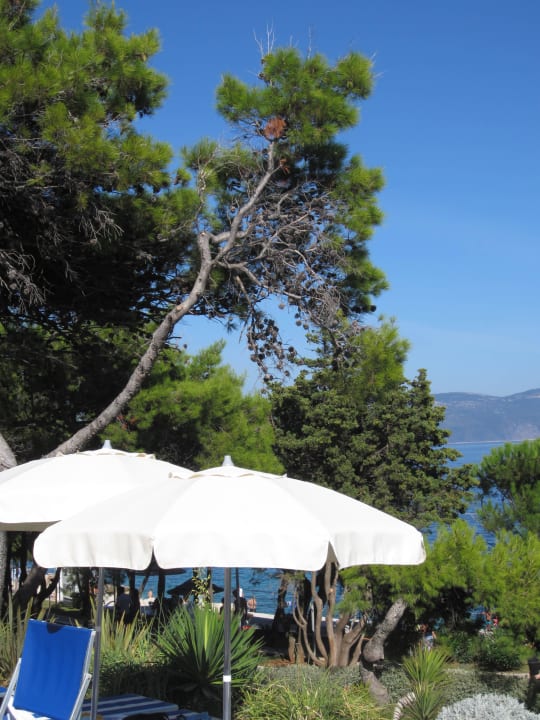 Blick von der Liege (Wiese) Valamar Sanfior Hotel & Casa