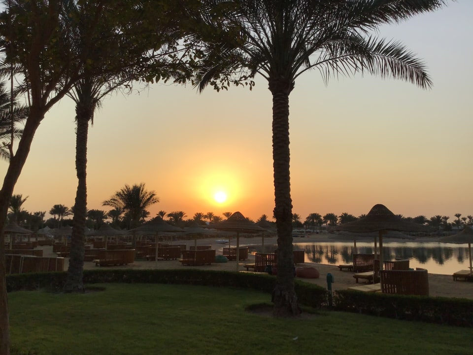 Außenansicht Desert Rose