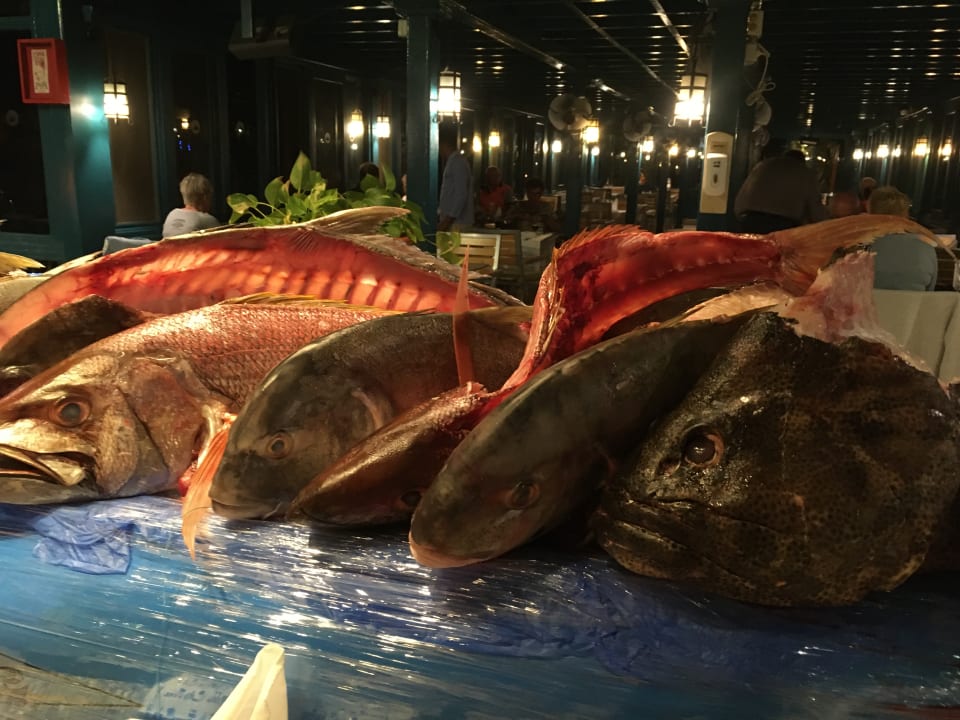 Gastro Club Paradisio El Gouna, Red Sea