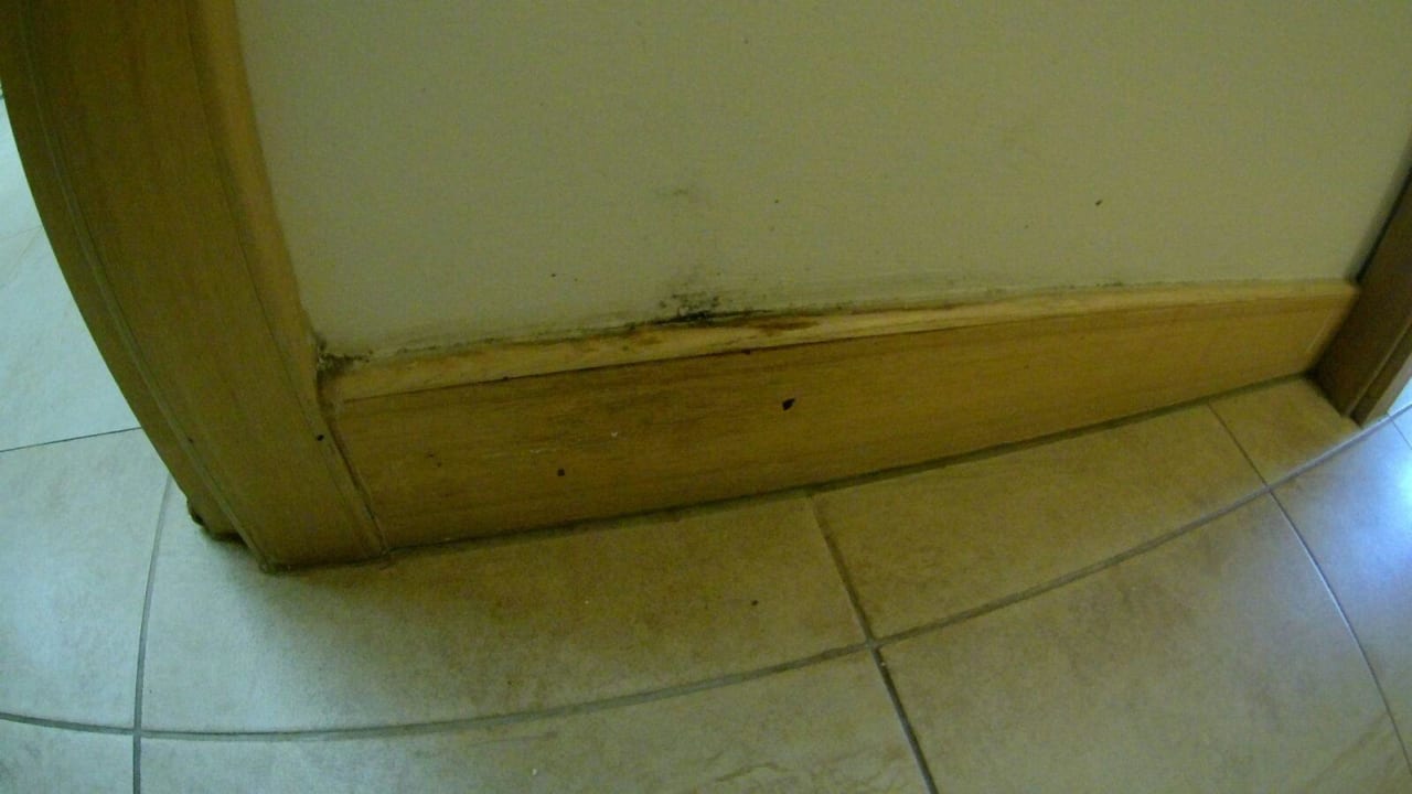 Feuchtigkeitsschäden  Lindos Imperial Resort & Spa