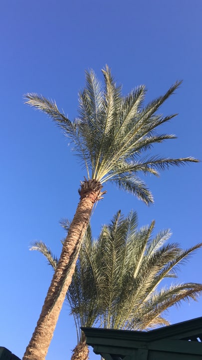 Ausblick Bel Air Azur Resort - Adults only