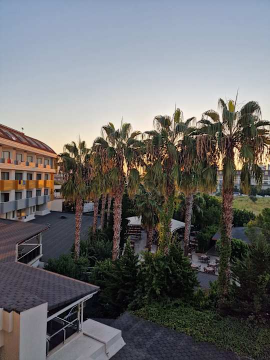 Gartenanlage Hane Family Resort