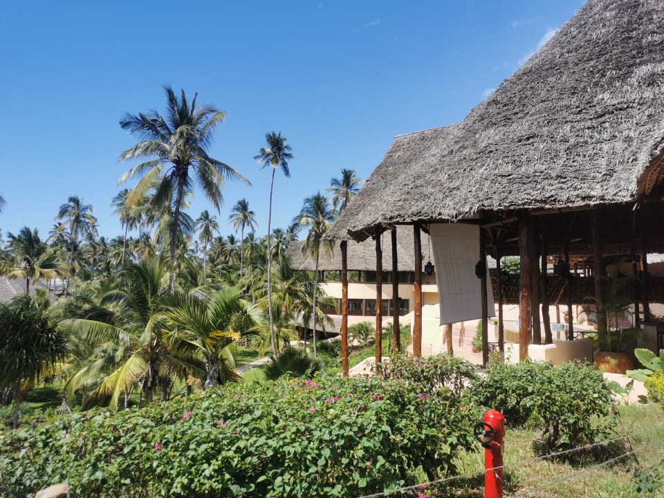 Gartenanlage Ocean Paradise Resort & Spa
