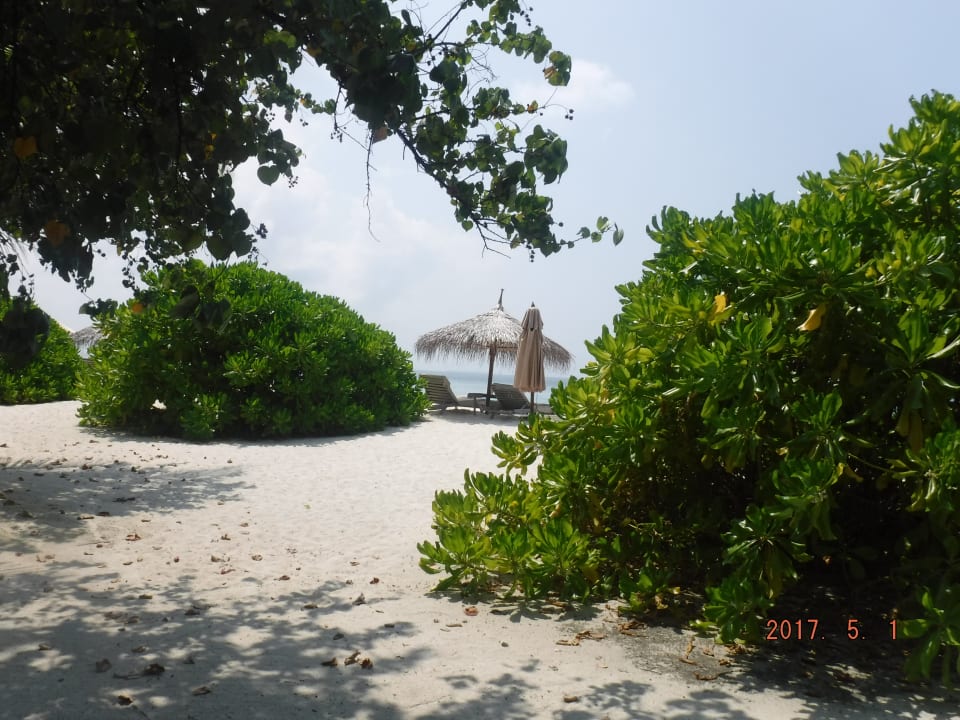 Ausblick Gangehi Island Resort