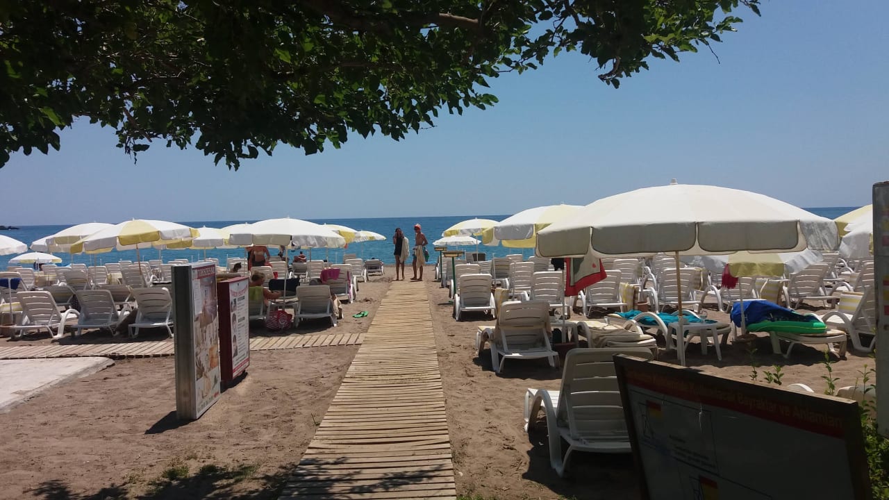 Strand mit Liegen Hotel Gardenia Beach