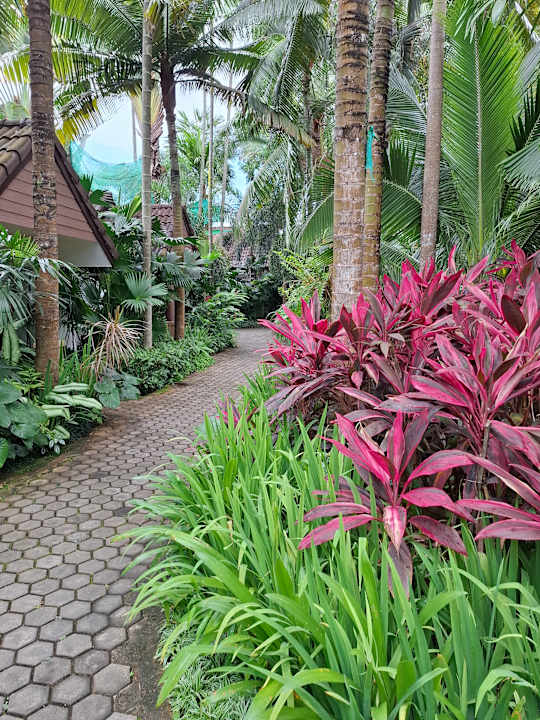 Gartenanlage Laluna Hotel & Resort