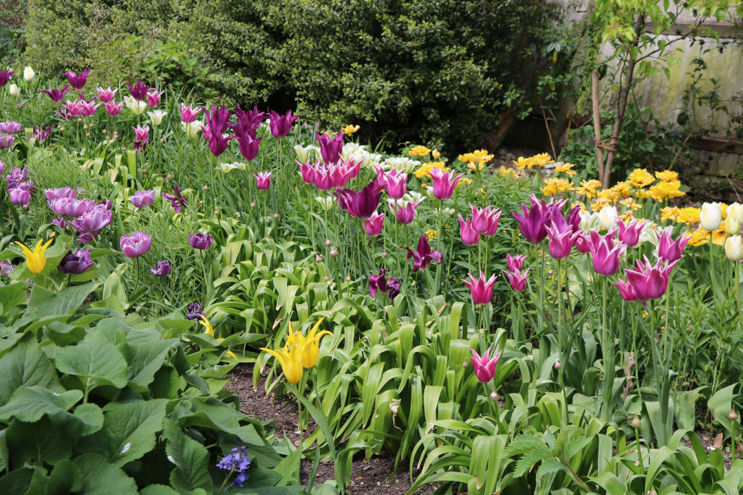 Gartenanlage The Salutation Hotel, Restaurant and Gardens