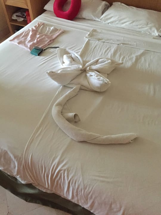 Motive aus Handtuch Makadi Palace