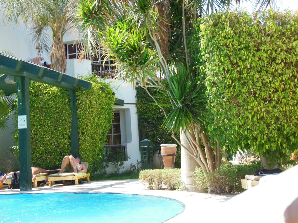 Pool Hotel Delta Sharm Resort