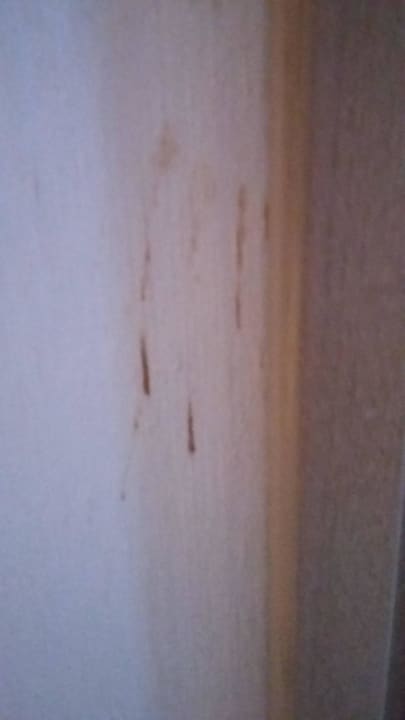 Blut oder Kot  Berghotel Hoher Knochen