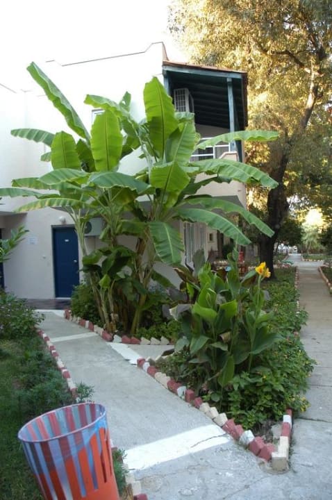 Zugang zu den Zimmern Club Sidelya Hotel