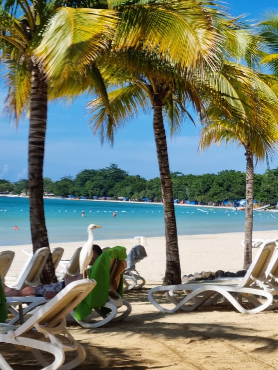 Strand Hotel Riu Palace Tropical Bay