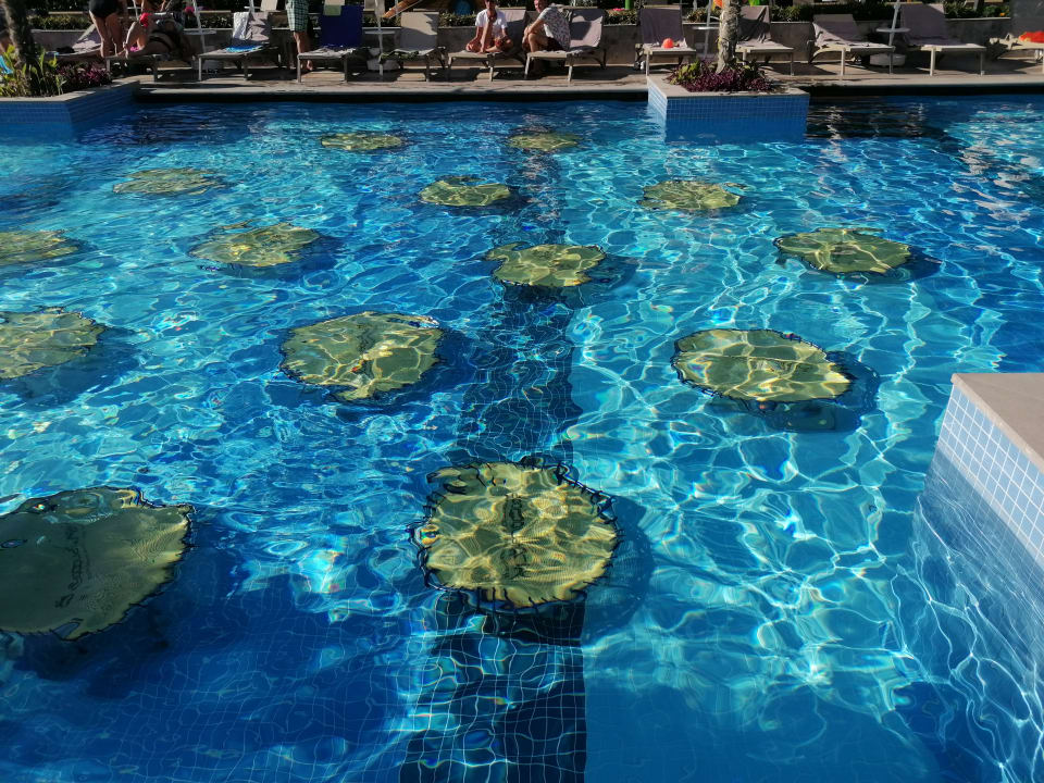 Sport & Freizeit Seaden Quality Resort & Spa