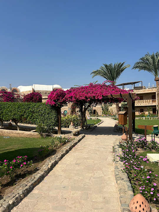 Gartenanlage Utopia Beach Club