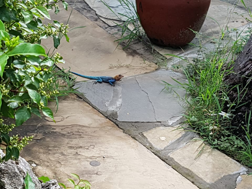 Sonstiges Bahari Beach Hotel