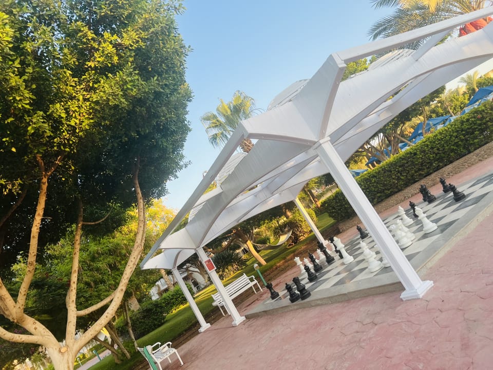 Sport & Freizeit Desert Rose