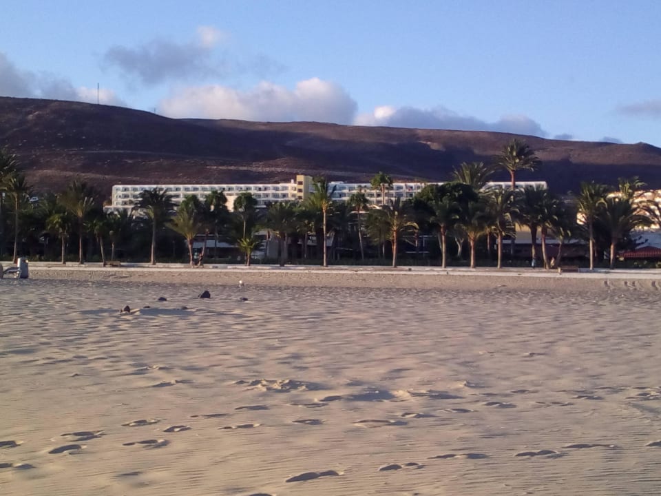 Das Hotel vom Strand aus gesehen Servatur Alameda de Jandía