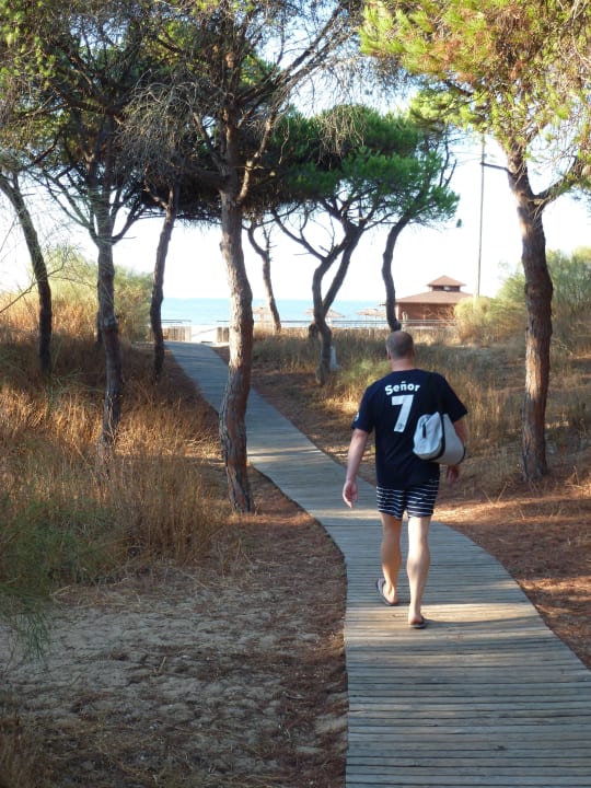 Weg durch den Pinienwald TUI BLUE Isla Cristina Palace