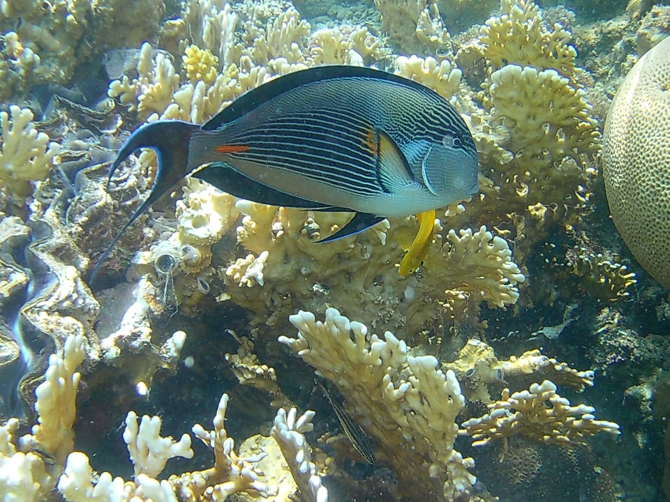 Sport & Freizeit Hotel Mercure Hurghada