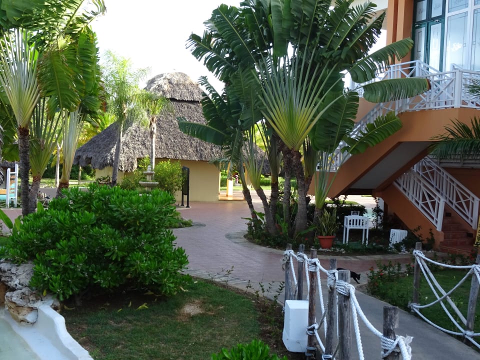 Schön angelegt Royalton Hicacos Resort & Spa - Adults only