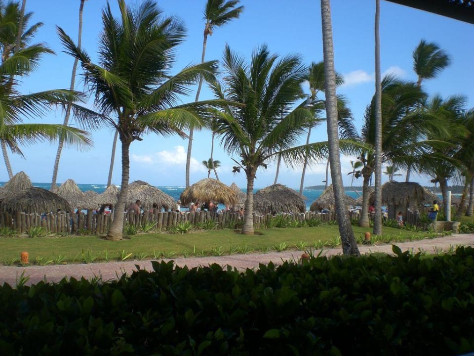 Blick aus unserem Zimmer zum Strand VIK Hotel Arena Blanca