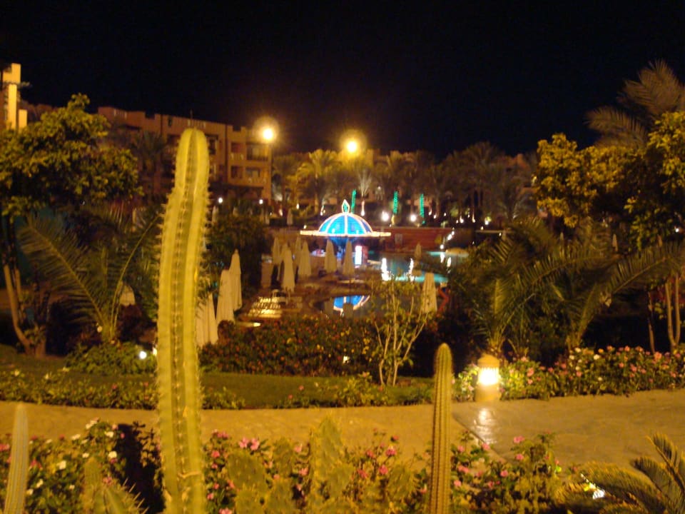 Ogród Rehana Sharm Resort Aqua Park & Spa