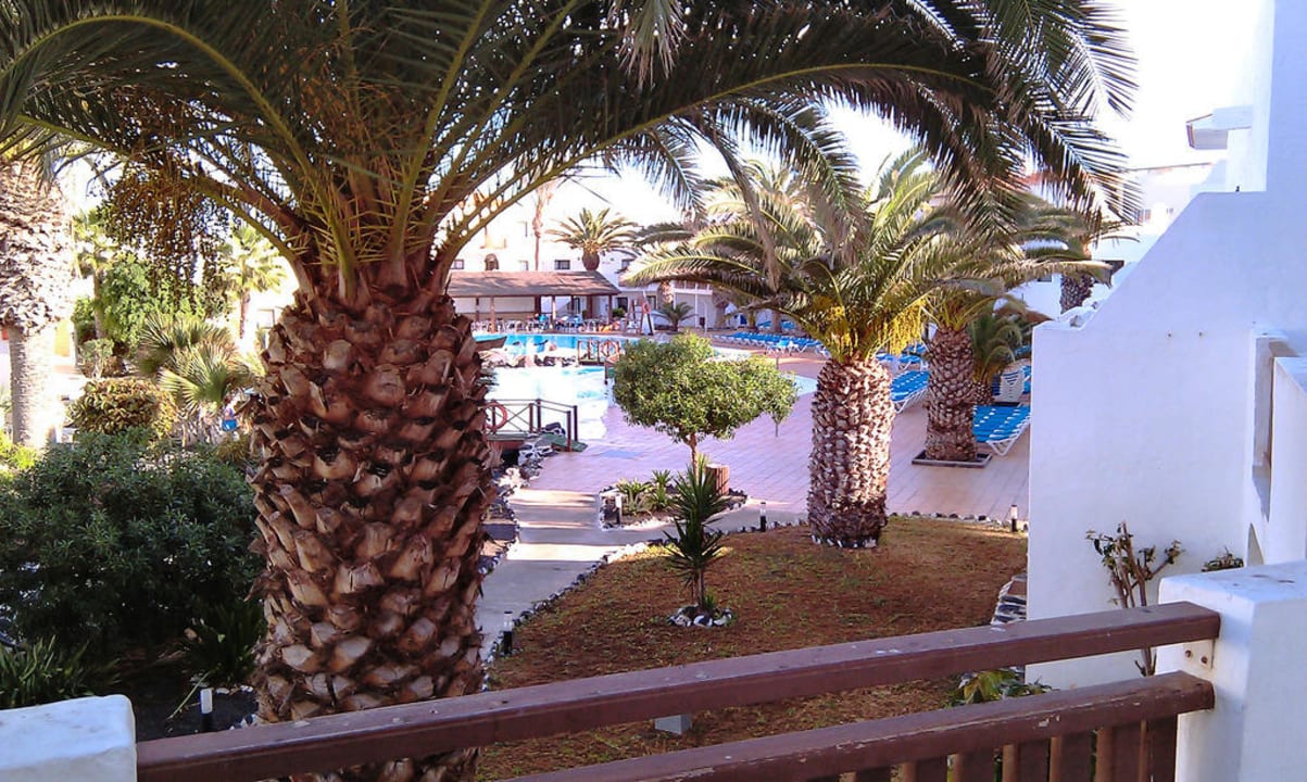 Ausblick vom Zimmer Apartamentos Hesperia Bristol Playa