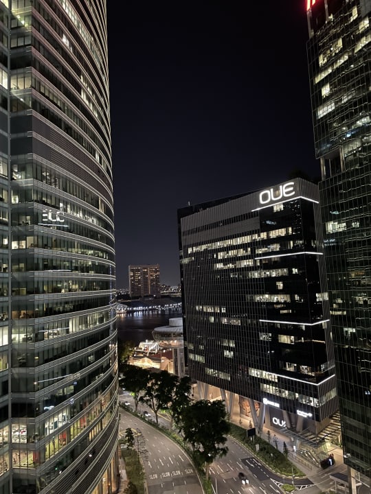 Ausblick Hotel Ascott Singapore Raffles Place