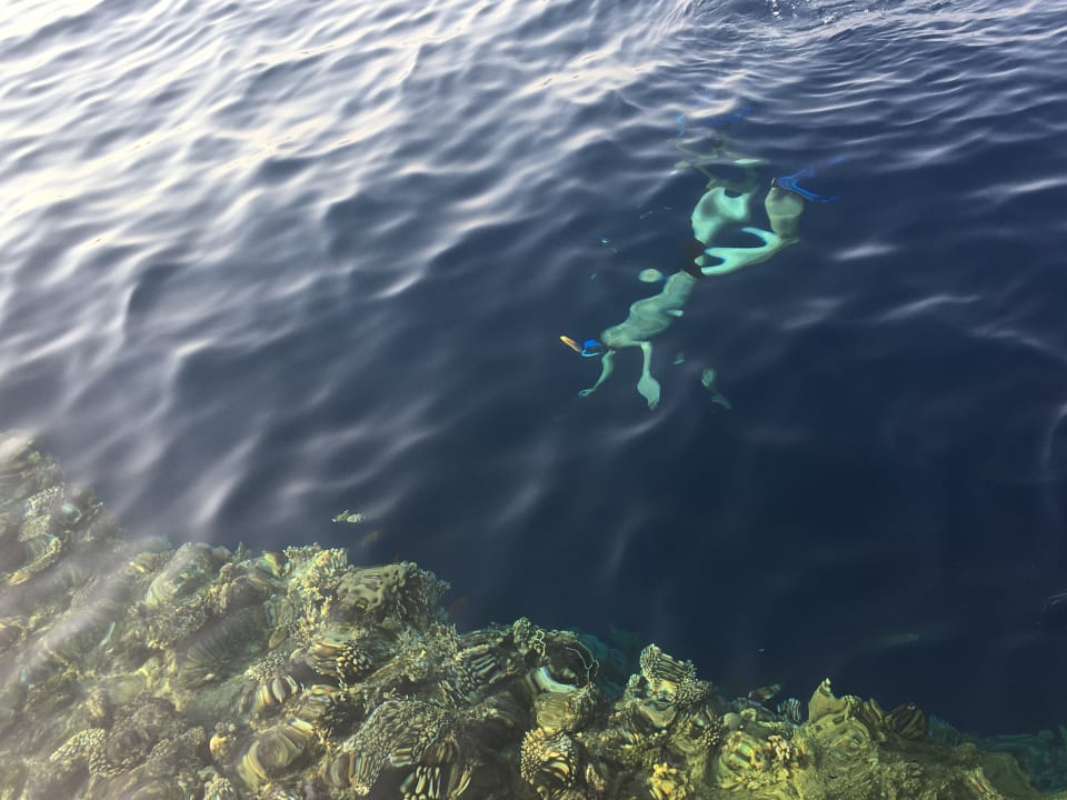 Sport & Freizeit Amphoras Blu