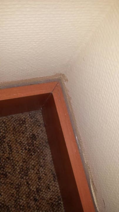 Bodenleisten AQI Pegasos World