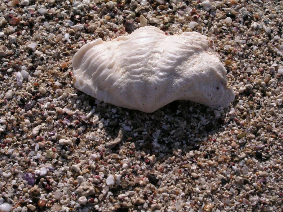Strand Sentido Akassia Beach