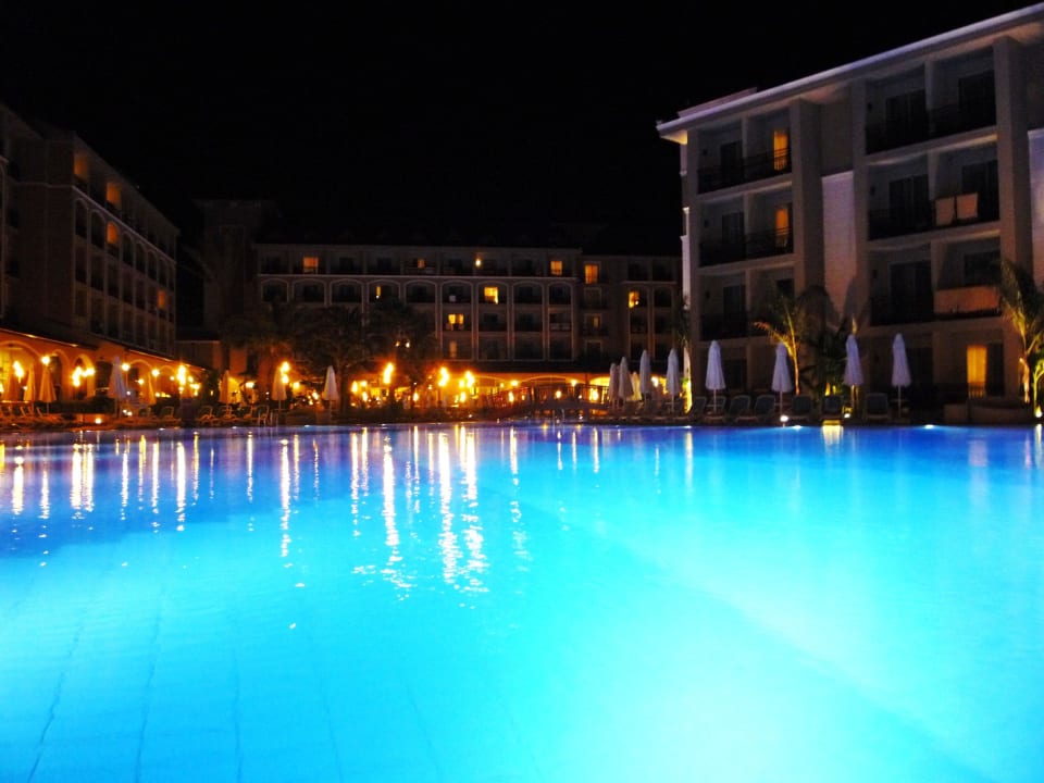 Am Abend Paloma Oceana