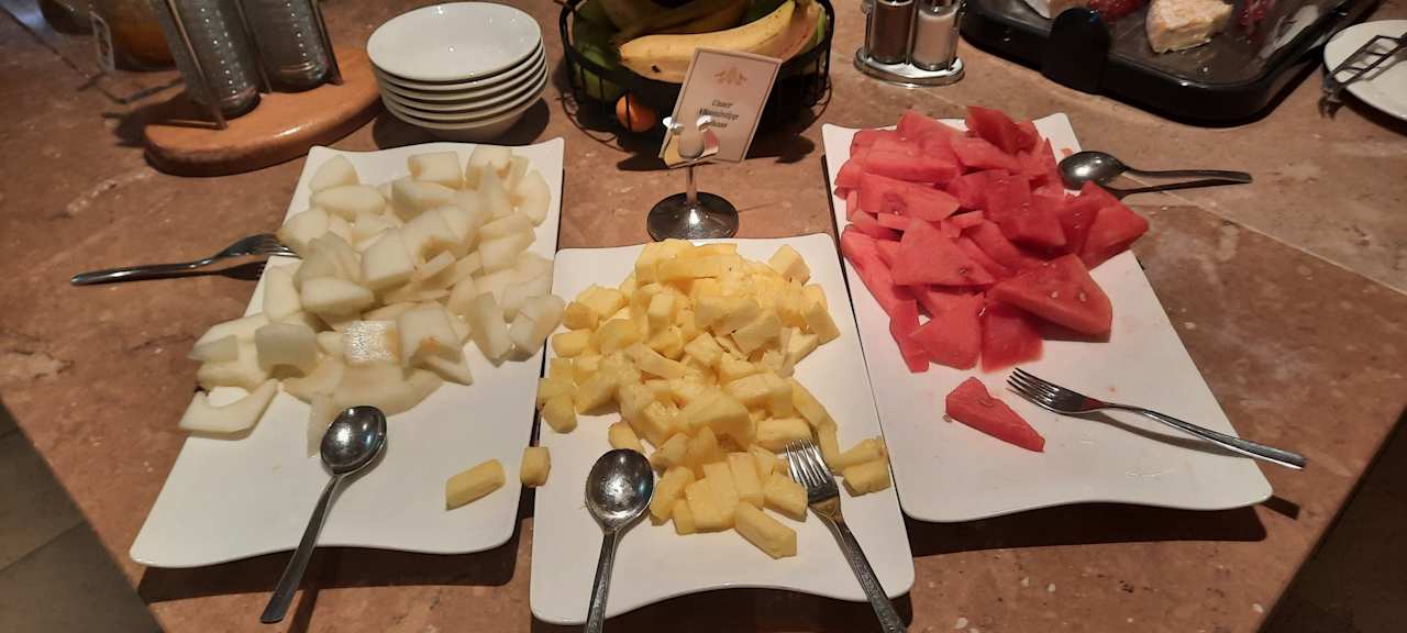 Gastro SPA Hotel Erzherzog Johann