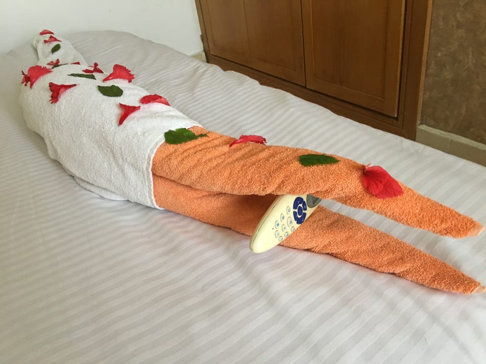 Zimmer Ghazala Beach