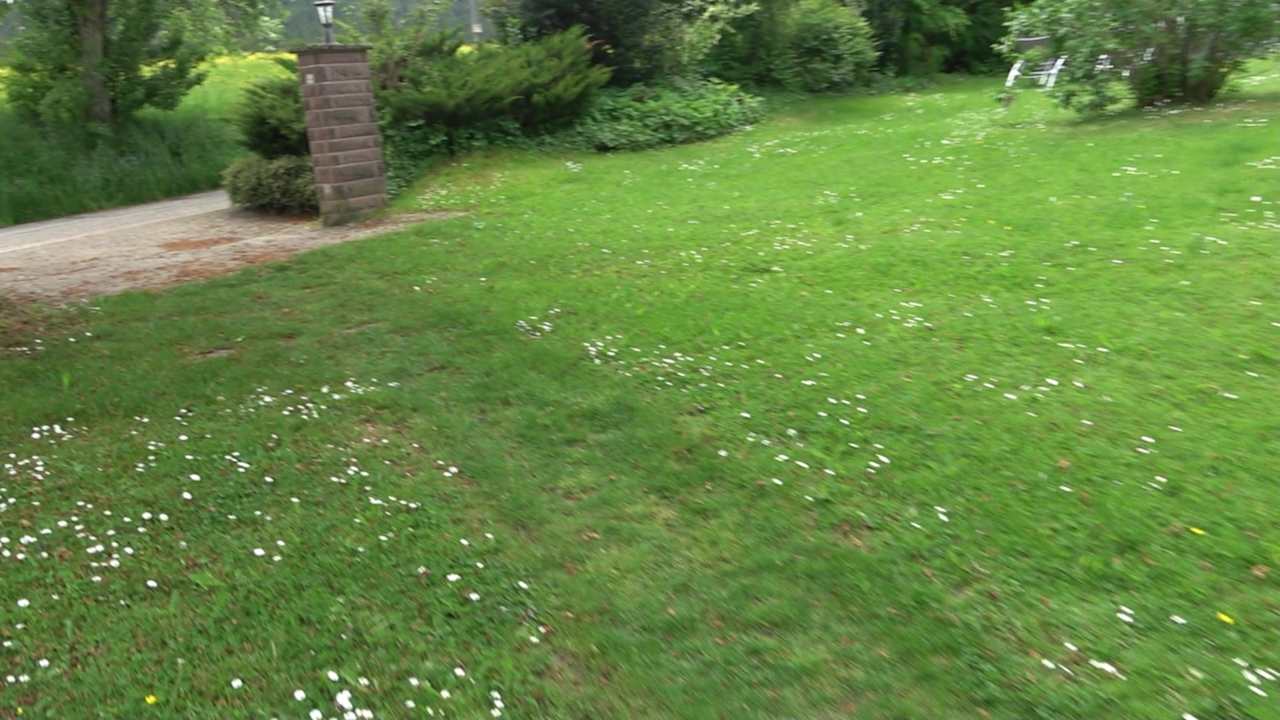 Außenansicht Hotel Grüner Wald