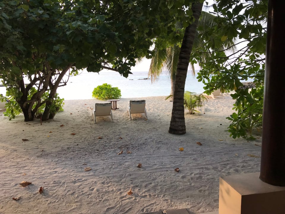 Strand Summer Island Maldives