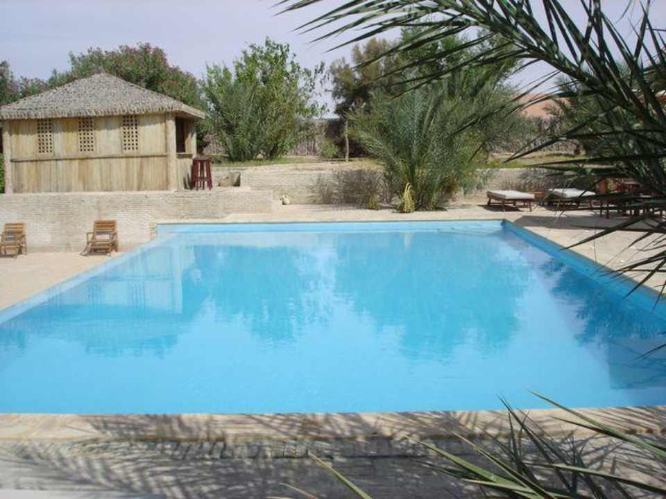 Piscine Villa Dar Zargouni