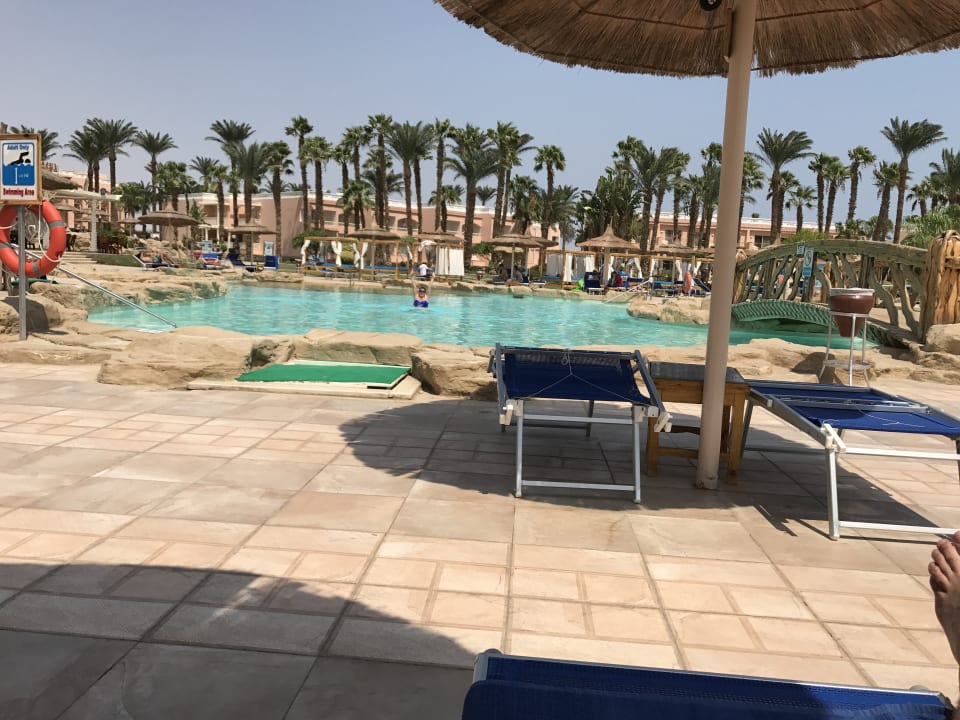 Pool Beach Albatros Resort