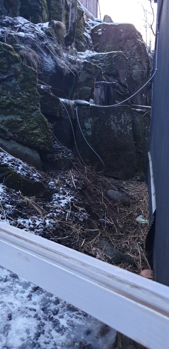 Ausblick Viking Hotel