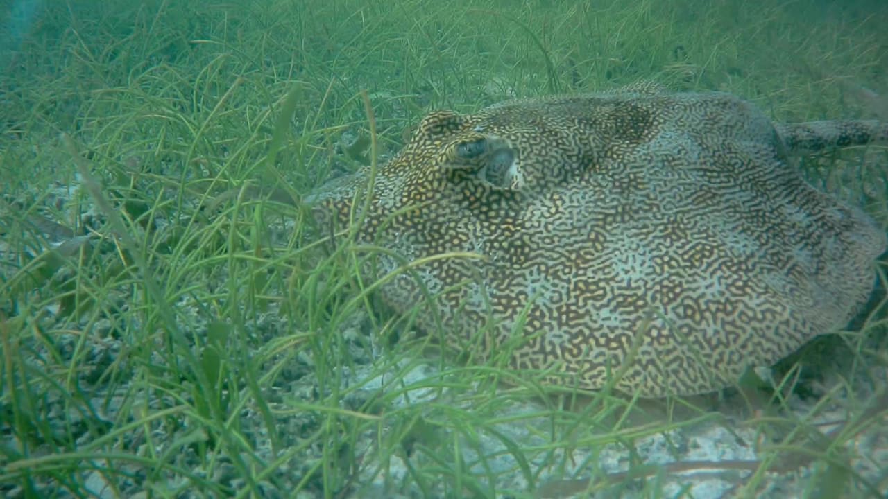 Sport & Freizeit Akumal Bay Beach & Wellness Resort