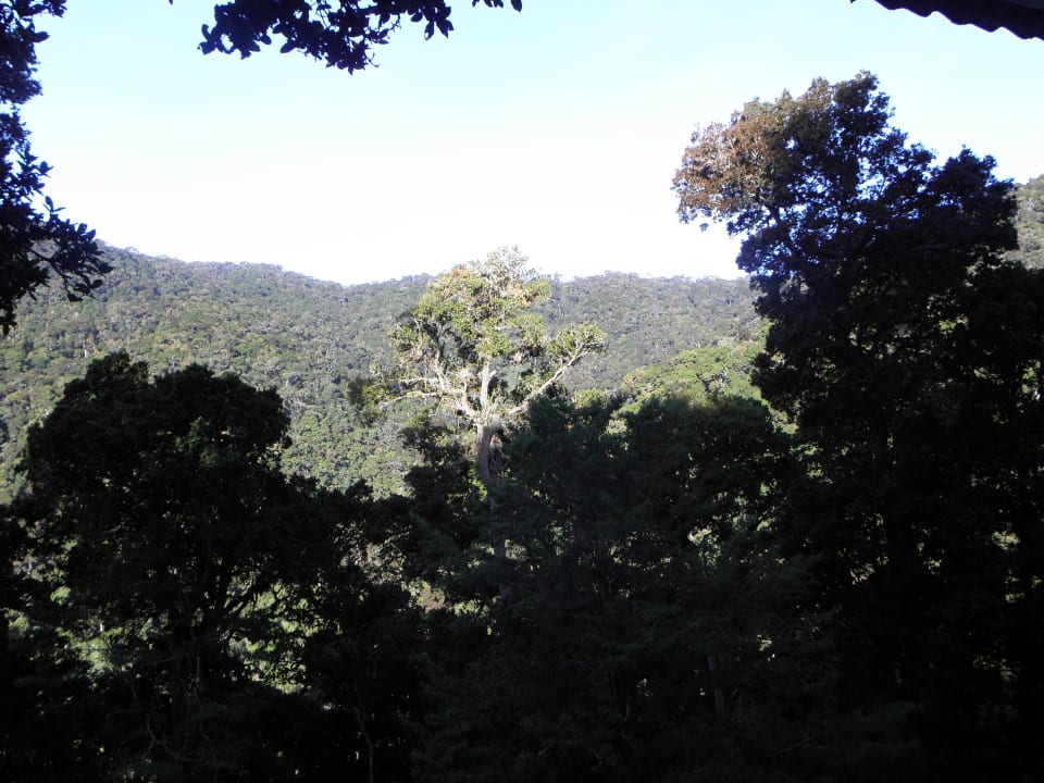 Ausblick ins Tal vom Zimmer  Dantica Cloud Forest Lodge
