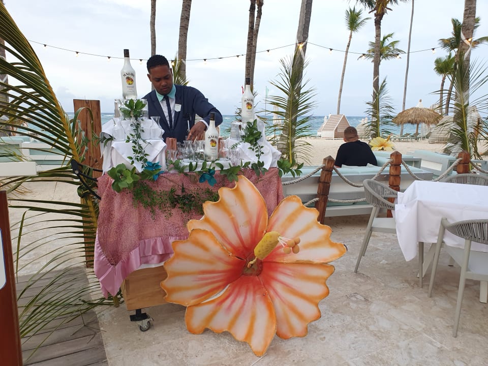 Gastro Iberostar Selection Coral Bávaro